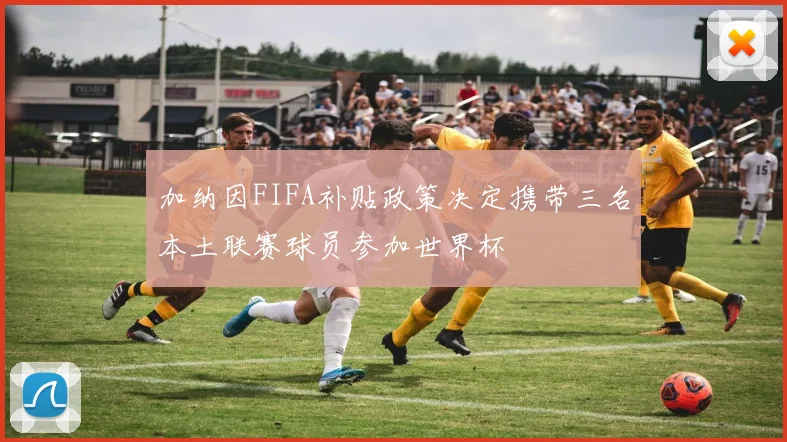 加纳因FIFA补贴政策决定携带三名本土联赛球员参加世界杯